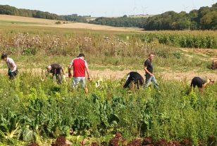 Centre communal d’action sociale d’Amiens : des cueillettes solidaires et des ateliers cuisine, pour améliorer l’alimentation des plus fragiles