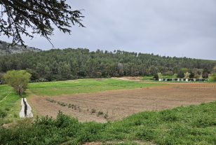 Ville d’Aubagne : la commune aménage un terrain agricole municipal, pour aider de jeunes agriculteurs à s’installer
